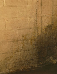Damp3